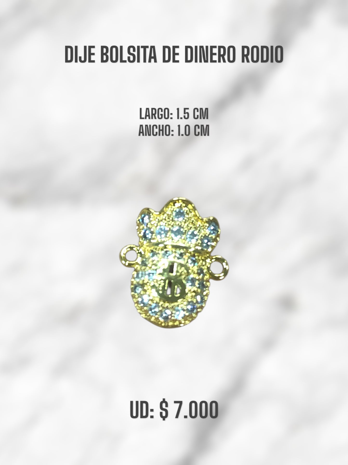DIJE BOLSITA DE DINERO RODIO