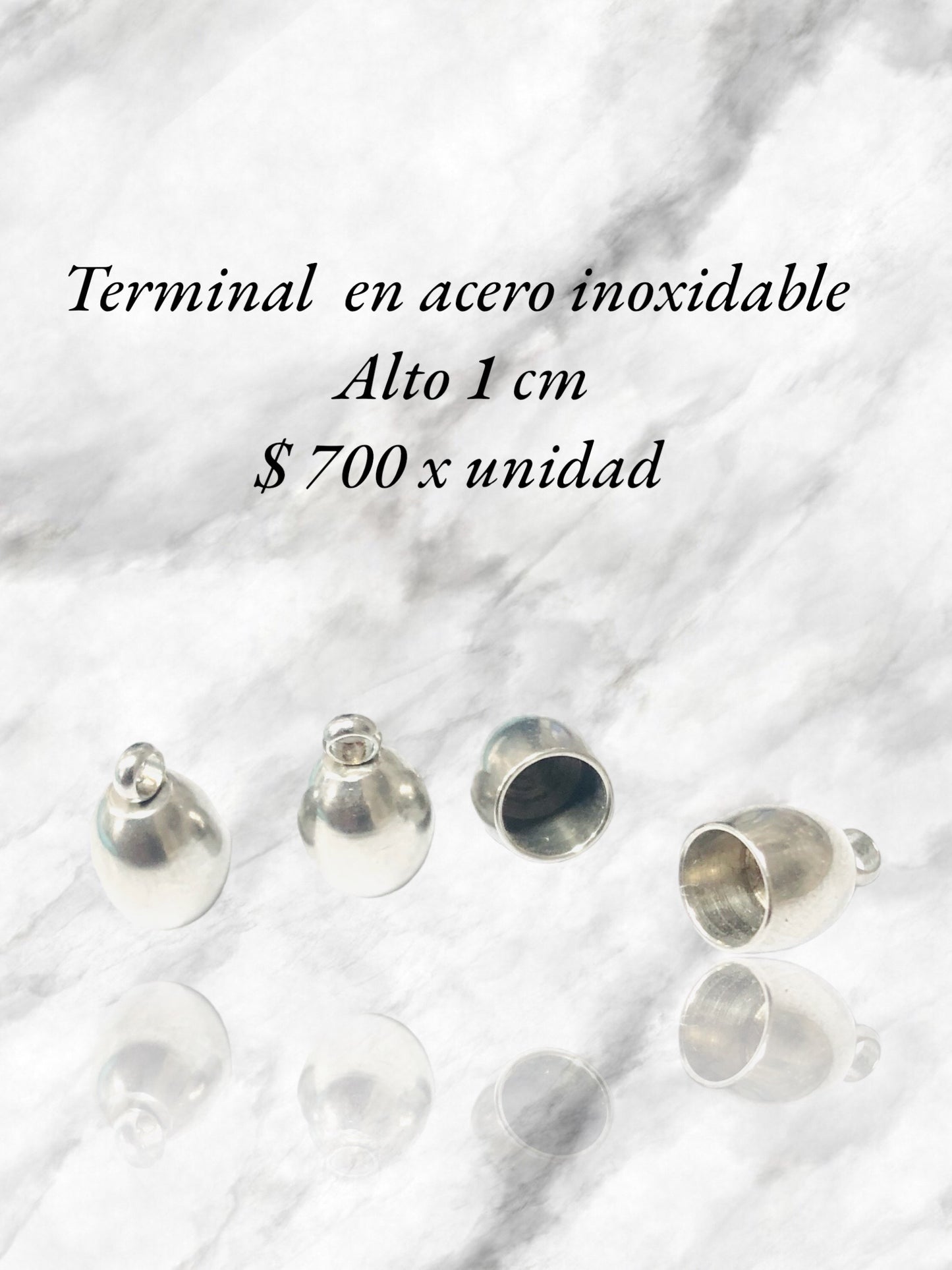 Terminales en acero inoxidable x unidad