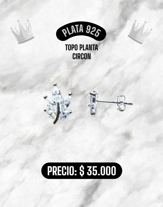 TOPO PLANTA CIRCON PLATA 925