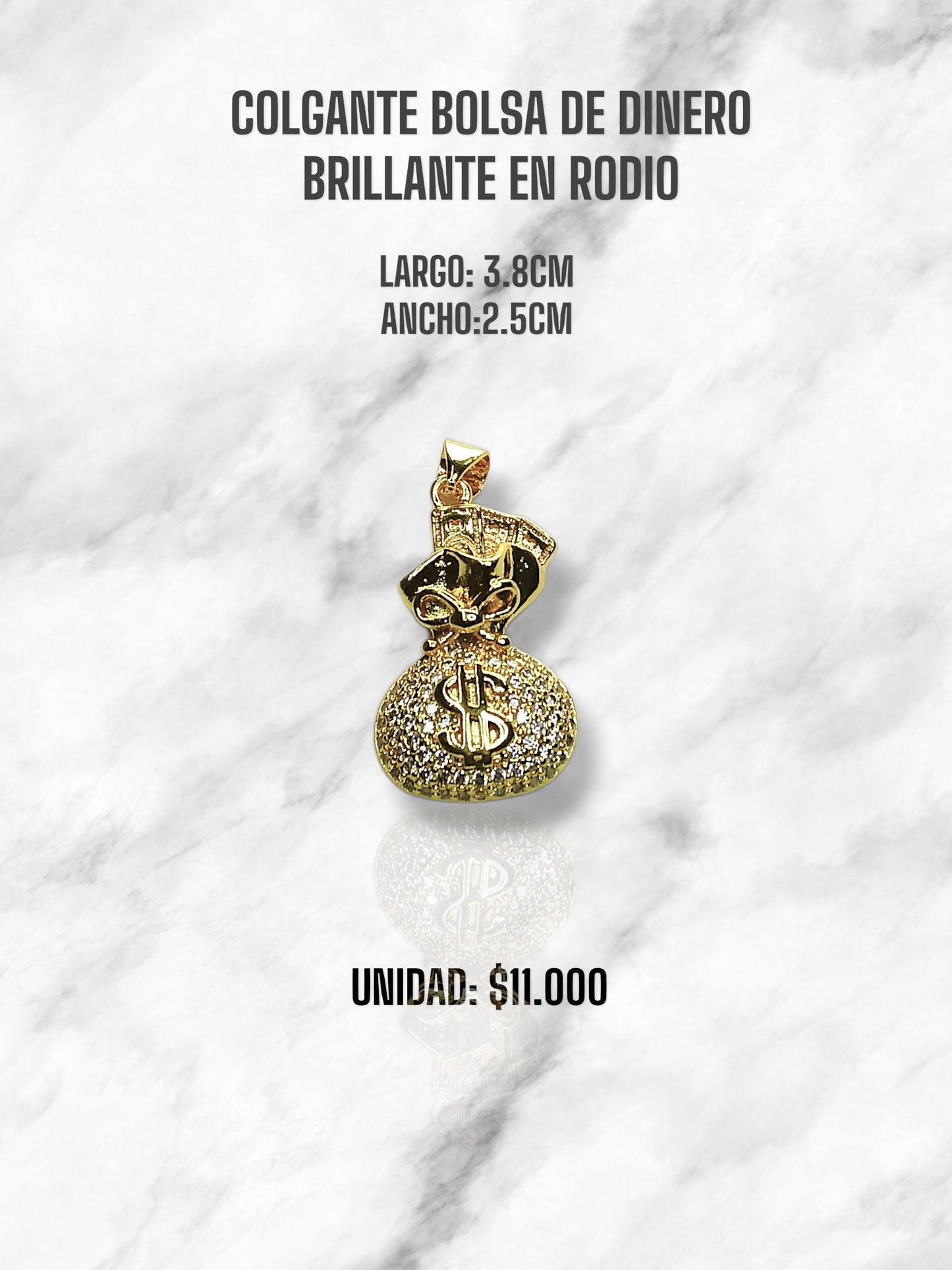 BOLSA DE DINERO BRILLANTE EN RODIO